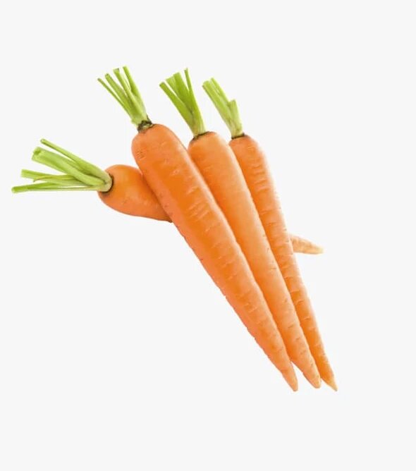 Fresh Organic Product 015