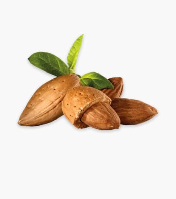 Fresh Organic Product 07