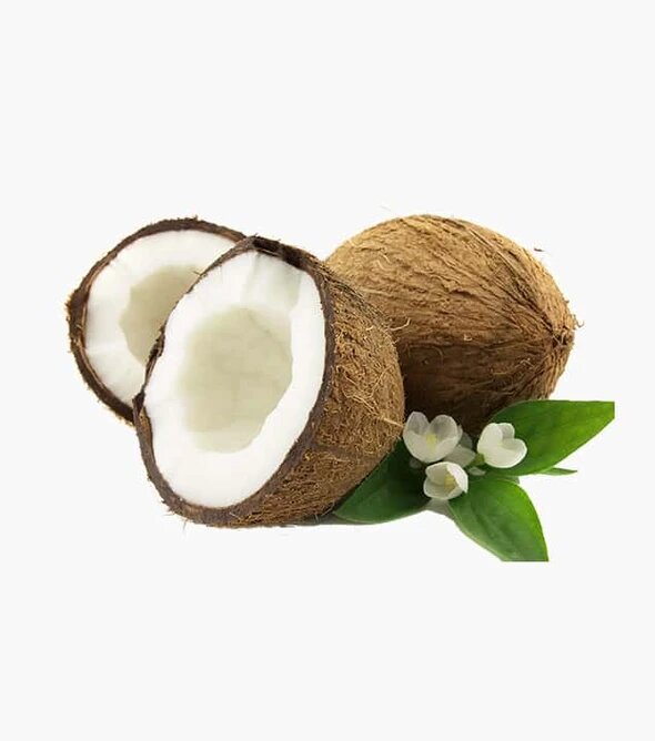 Fresh Organic Product 09